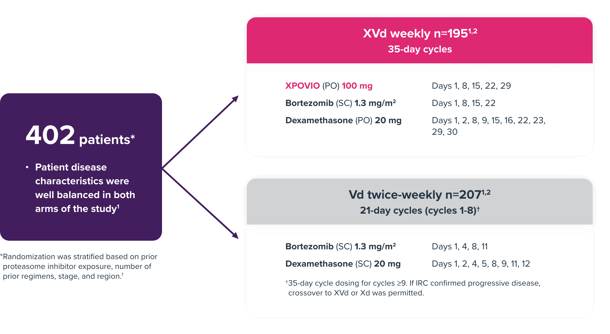 XVd study design schema showing how XVd was studied compared to Vd in the XVd clinical trial