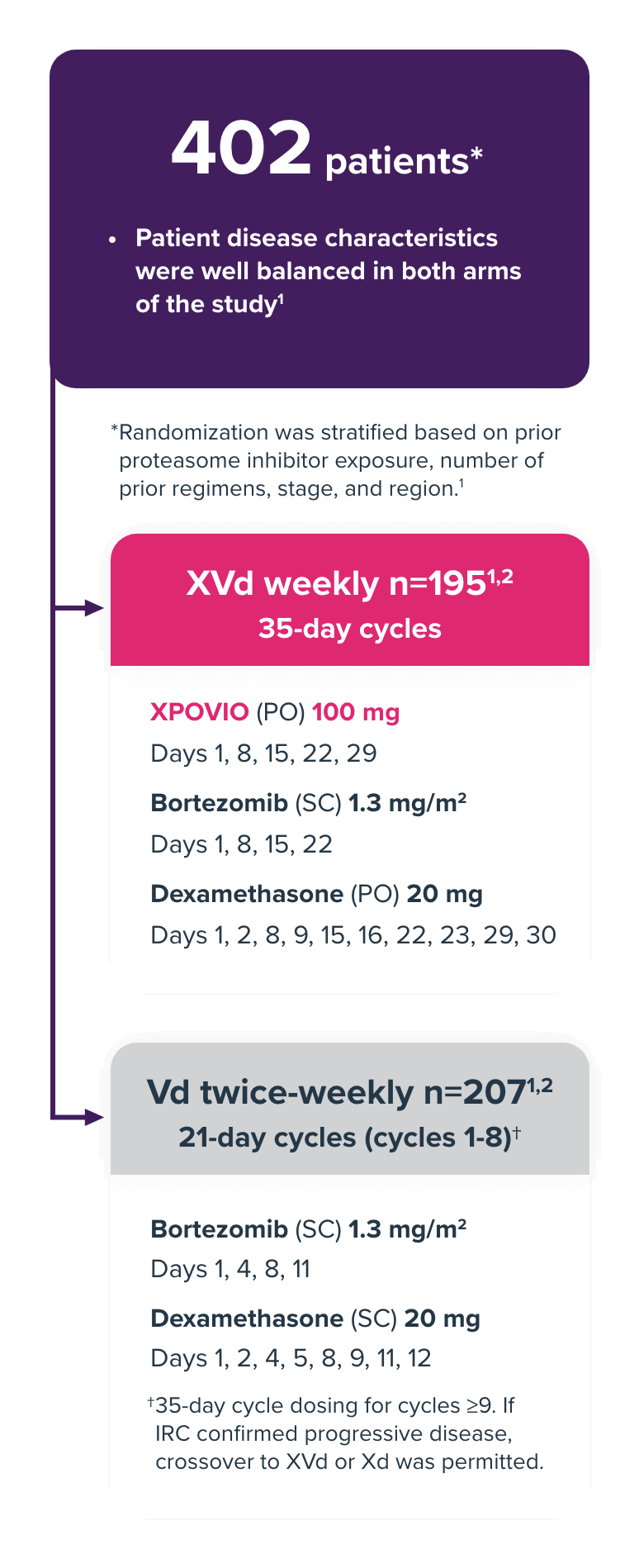 XVd study design schema showing how XVd was studied compared to Vd in the XVd clinical trial