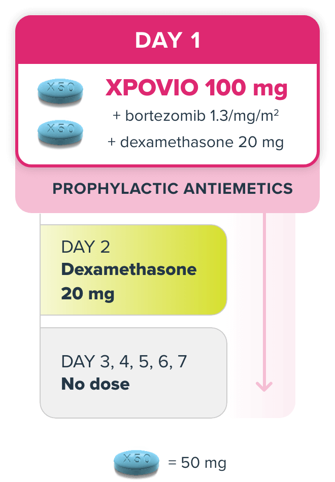 Graphic shows the once weekly dosing schedule of XVd (XPOVIO [selinexor] + bortezomib & dexamethasone) for multiple myeloma.